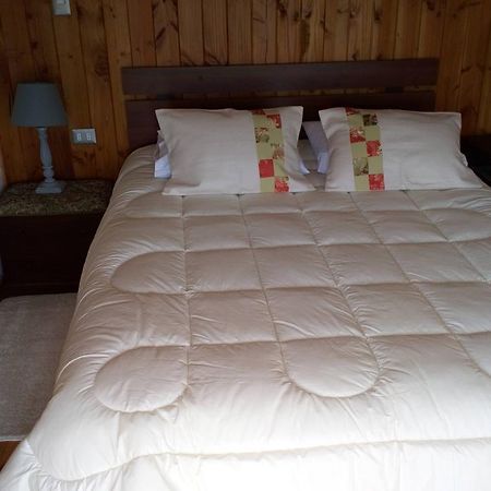 Hostal Parcela 47 Villarrica Kültér fotó